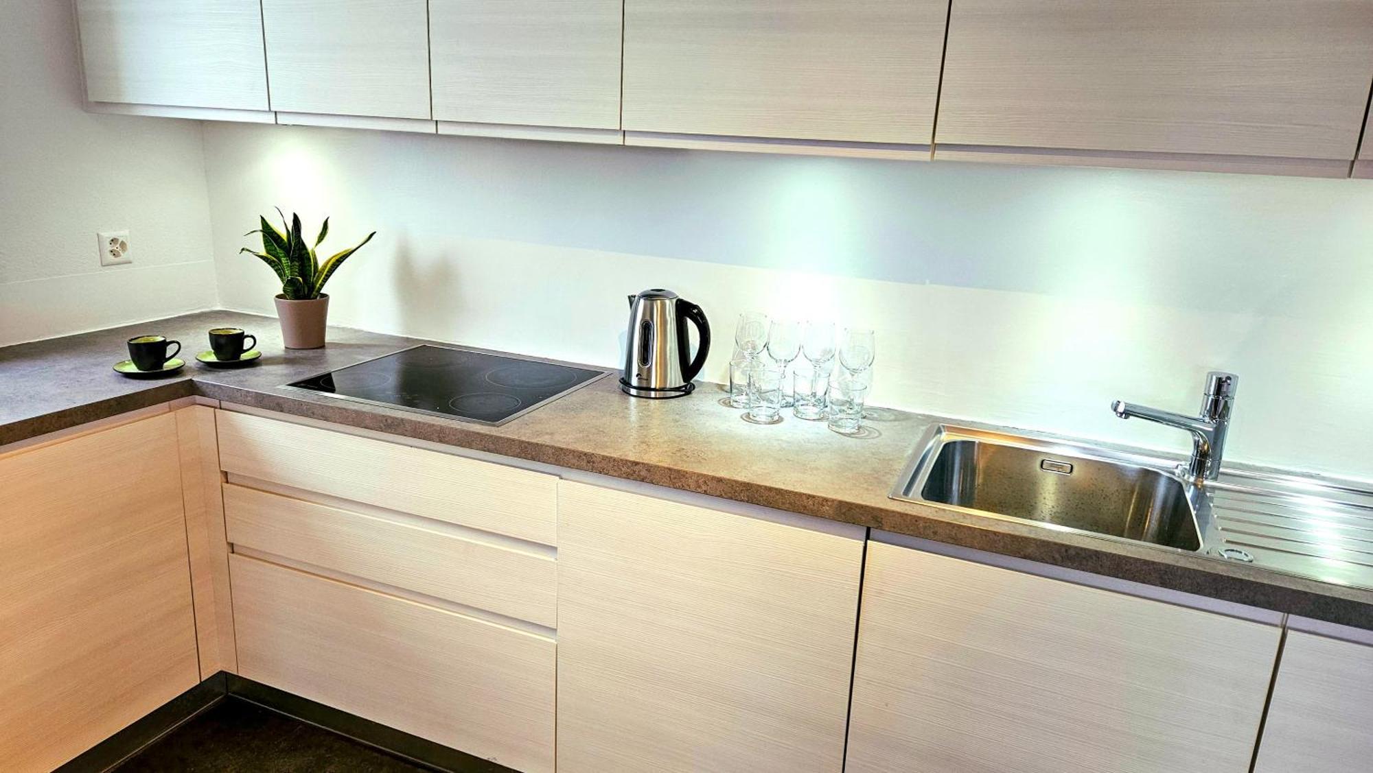 Bellavista Apartment With Free Parking Лугано Экстерьер фото